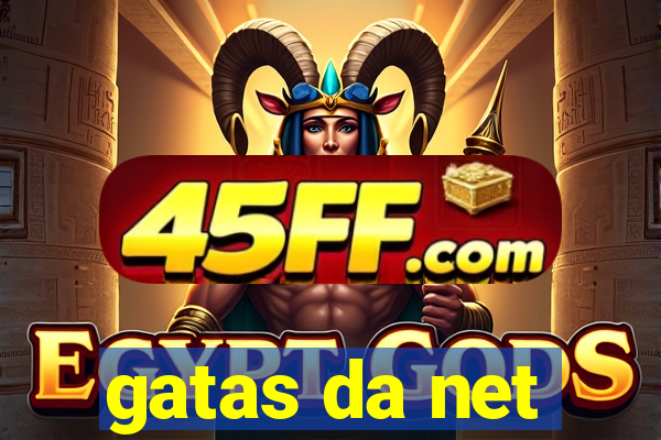 gatas da net